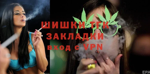 сатива Богданович