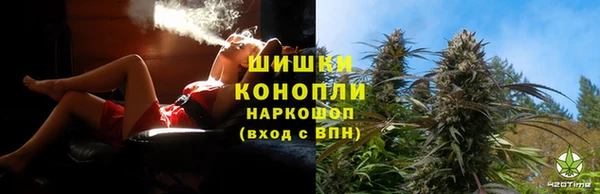 сатива Богданович