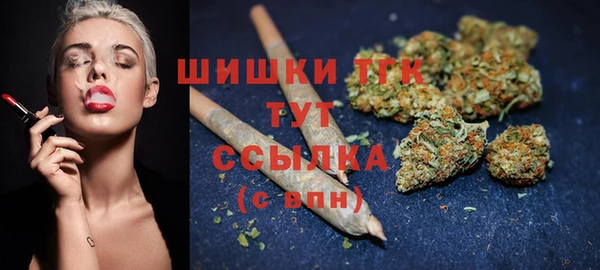 сатива Богданович
