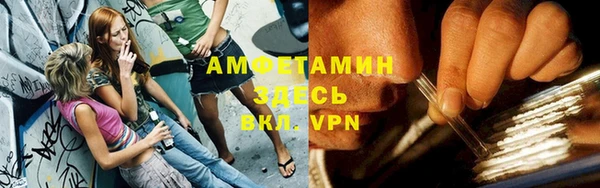 сатива Богданович